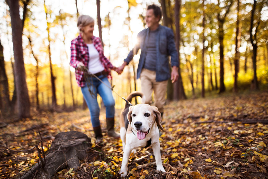 walking-trails